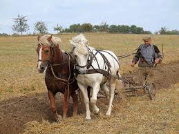 Laboureur traditionnel